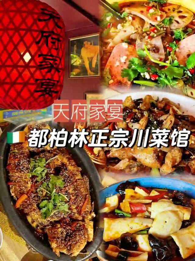 -1 Dublin Restaurant Review | Tian Fu Jia Yan: Authentic Sichuan Cuisine 🔥