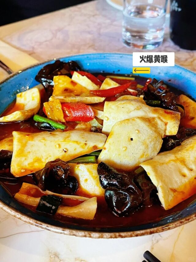 -4 Dublin Restaurant Review | Tian Fu Jia Yan: Authentic Sichuan Cuisine 🔥