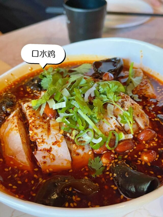 -7 Dublin Restaurant Review | Tian Fu Jia Yan: Authentic Sichuan Cuisine 🔥