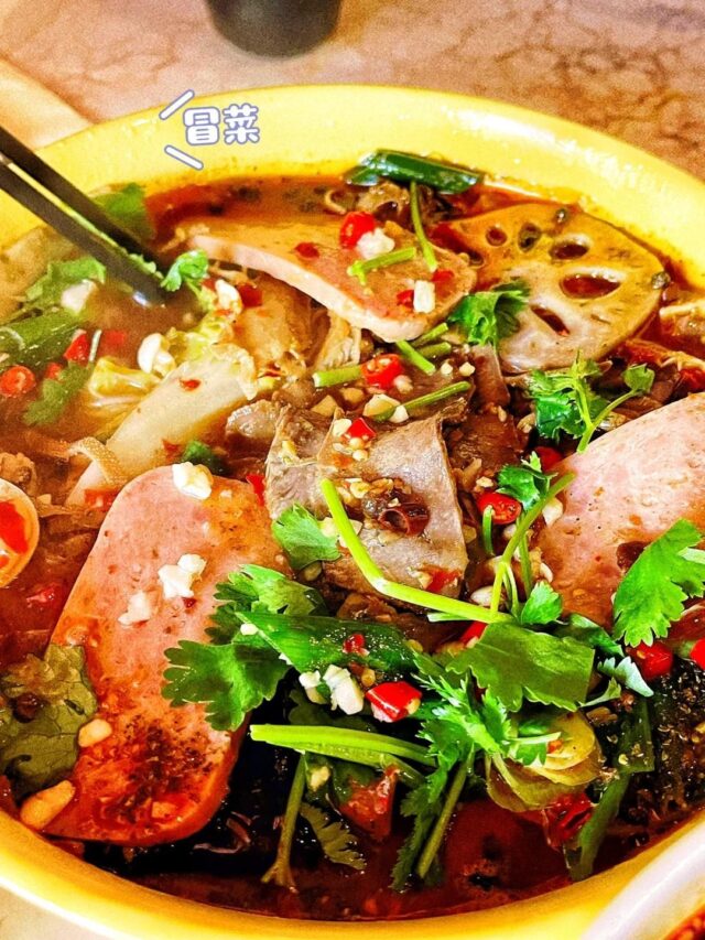 -9 Dublin Restaurant Review | Tian Fu Jia Yan: Authentic Sichuan Cuisine 🔥