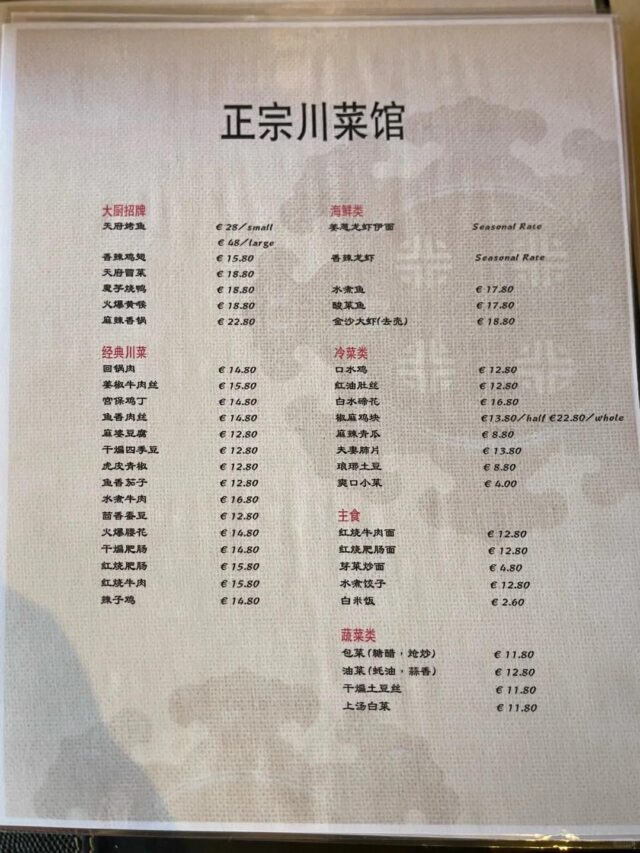 -10 Dublin Restaurant Review | Tian Fu Jia Yan: Authentic Sichuan Cuisine 🔥